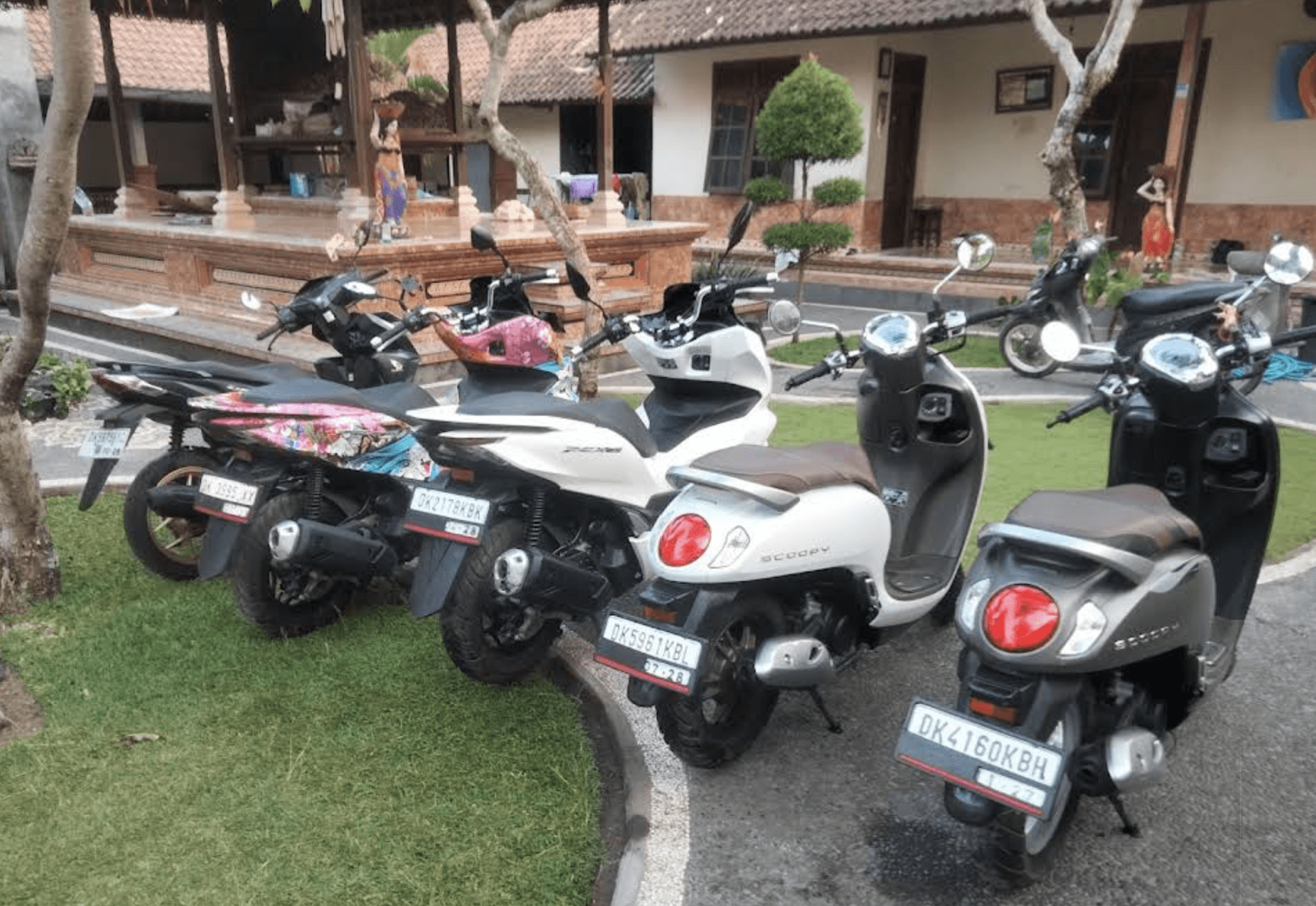 Deretan scooter terparkir rapi siap disewakan